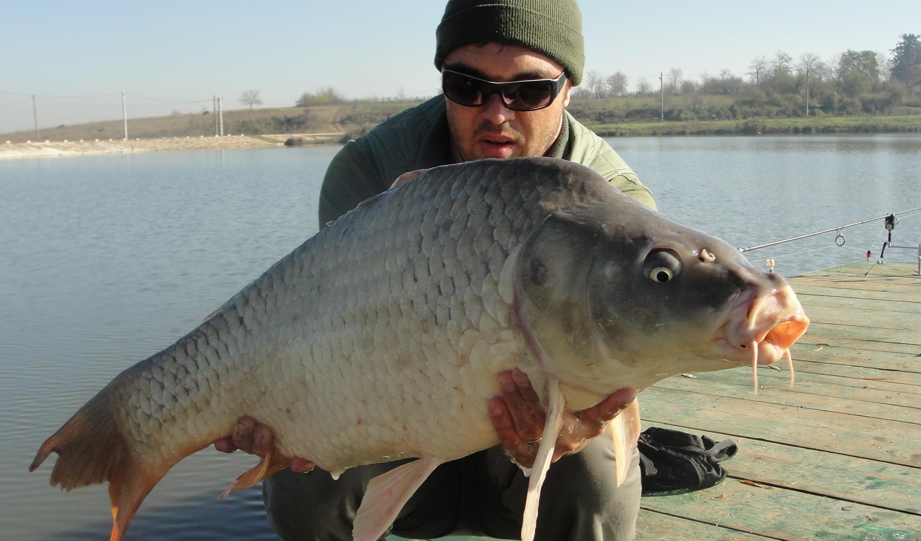 Moara Vlasiei 2 9 - 9 nov. - dsc02933.JPG